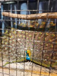 -酷嗒动物文化乐园(cutezoo西溪乐天城店)