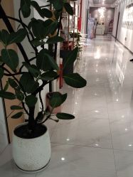 -斐然普拉提&梵歌瑜伽