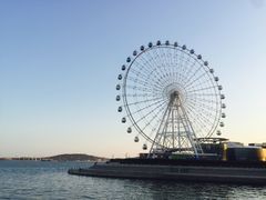 -琴岛之星摩天轮