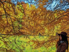 -上海海湾国家森林公园