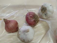-亿牌牌东北烧烤(怀特店)
