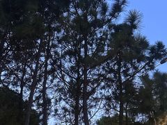 -绮园景区