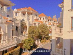 -臻康乃馨月子中心(集美店)