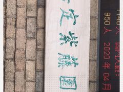 -嘉定紫藤园