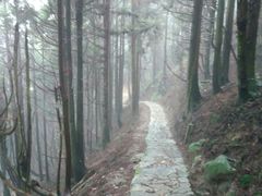 -井冈山风景名胜区-黄洋界