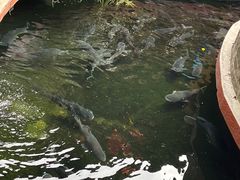 -侠成水上农庄(工业大道店)