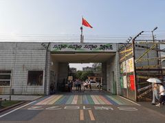 -合柴1972