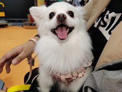 -木尔坦·Multan巴基斯坦清真餐厅halal(大智嘉园店)