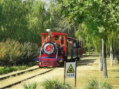 -永定河休闲森林公园