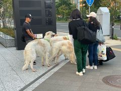 -札幌电视塔