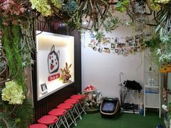 -Husky Go! 哈士奇体验馆·宠物咖啡厅狗咖