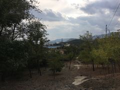 -白水寺森林公园