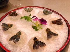 鱼生-沙龙酒家