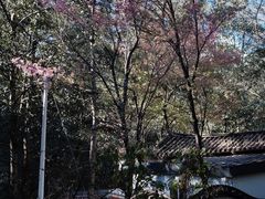 -寂照庵