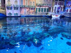 -华夏文旅海洋公园