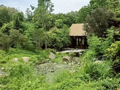 -深圳国际园林花卉博览园