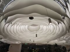 -大树餐厅(朝阳大悦城店)