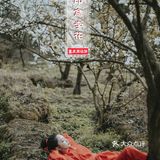 重庆旅行攻略，印盒万亩李花3月待放，请准备好相机噢