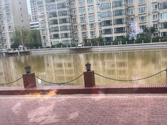 -马老六清真餐厅(雁滩店)