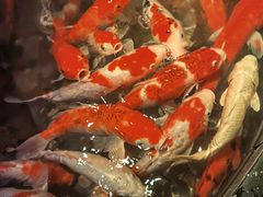 -正佳极地海洋世界