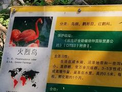 -昆明动物园