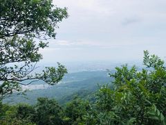 -紫金山山顶公园