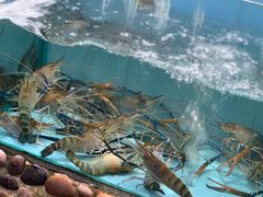 -有腥气私房菜·寻味顺德