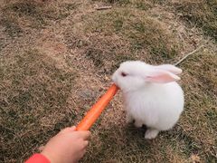 -李小龙乐园(顺德均安店)