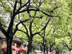 -北京国子监胡同