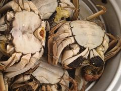 -阳澄湖大闸蟹·琼灵阁牌品牌连锁(吴中总店)