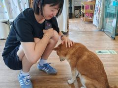 -小时光咖啡馆(开森度假森林店)