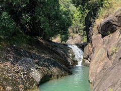 -广州白江湖森林公园