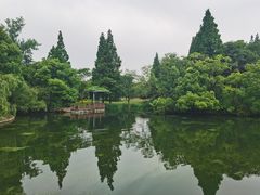 -上海滨江森林公园