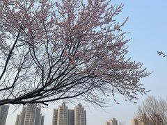 -燕郊植物园