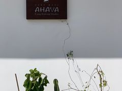 -AHAVA·Fang Baking Studio