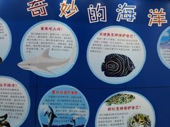 -上海海洋大学鱼文化博物馆(军工路校区)