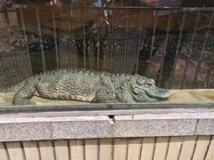 -昆明动物园
