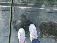 -梦幻奥陶纪景区