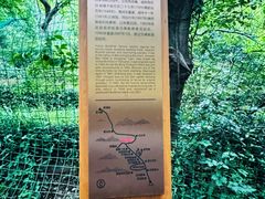 -雨花胜境