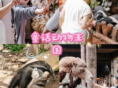 -长鹿旅游休博园