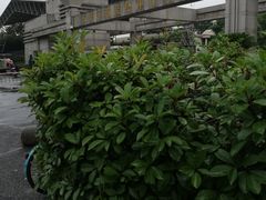 -杭州市陈经纶体育学校