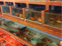 -光兴海鲜排档·小炒(莱利园店)