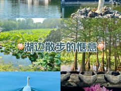 -莫愁湖公园