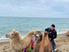 -青海湖国家重点风景名胜区