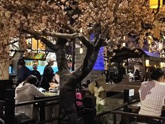 -绿茶餐厅(朝阳大悦城店)