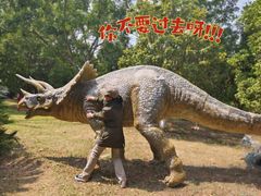 -世界恐龙谷景区