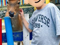 -西部长青自然儿童乐园