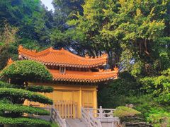 -深圳国际园林花卉博览园