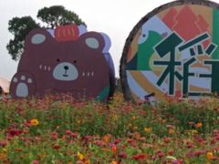 -嘉北郊野公园