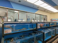 -盒马X会员店(王府井奥莱UP TOWN店)